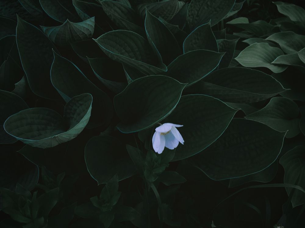 Photograph by Станислав Ситников