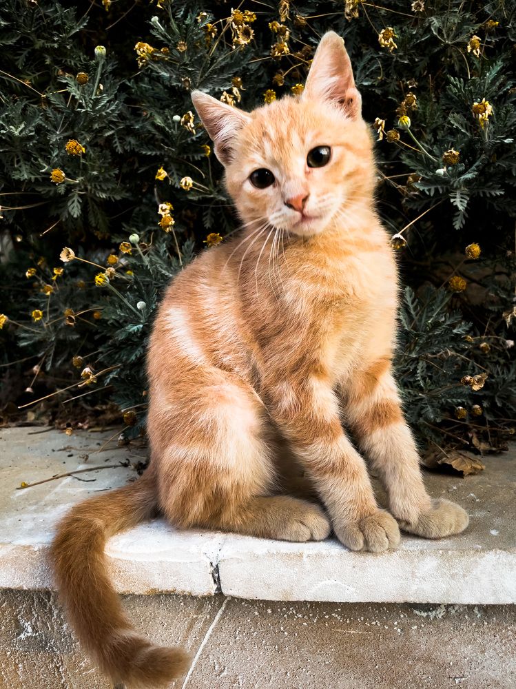 Photograph by Omar Khaled El Sayad