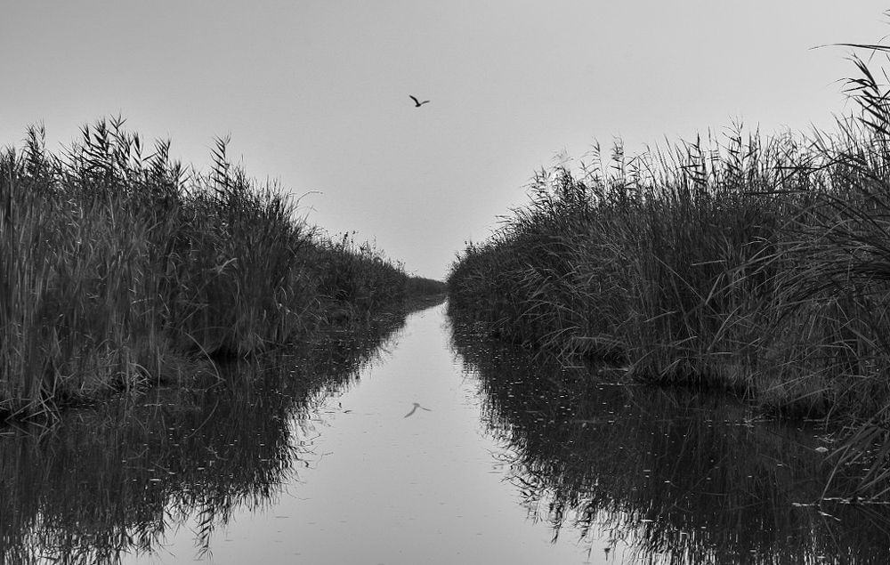 Photograph by SAJAD ABD ALALAH