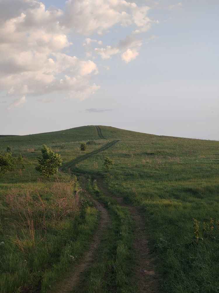 У холмов есть душа