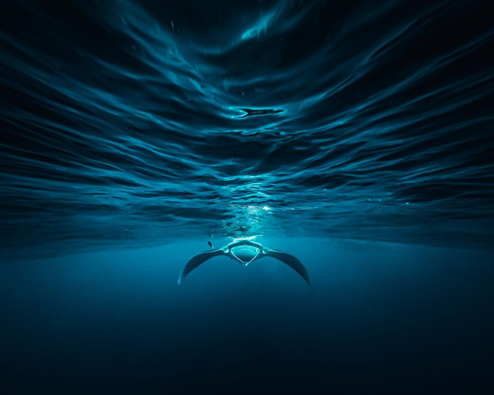 Photograph by Mizael Palomeque