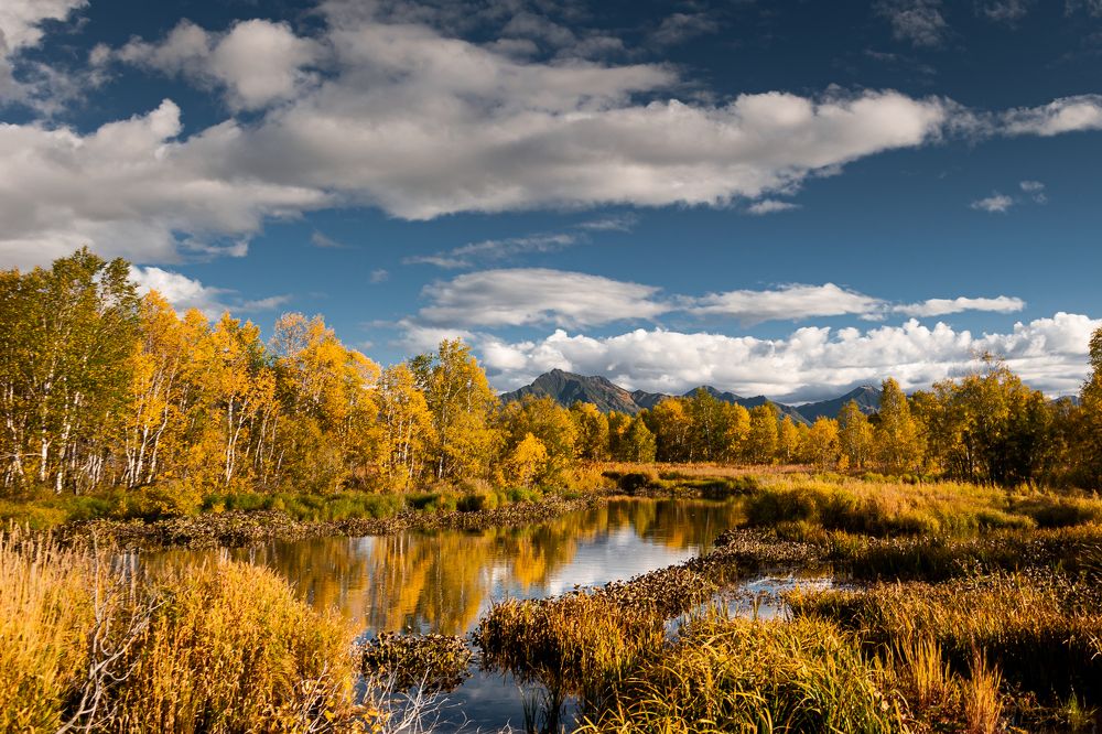 Photograph by Евгений Житников