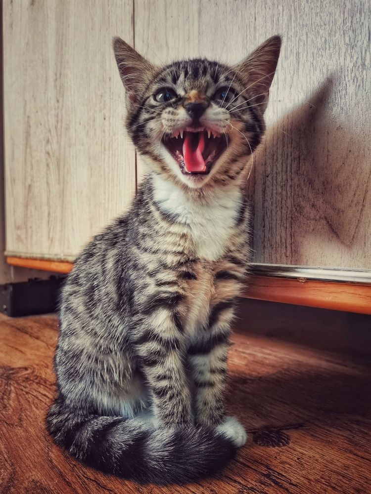 Photograph by Наталья Горбачева