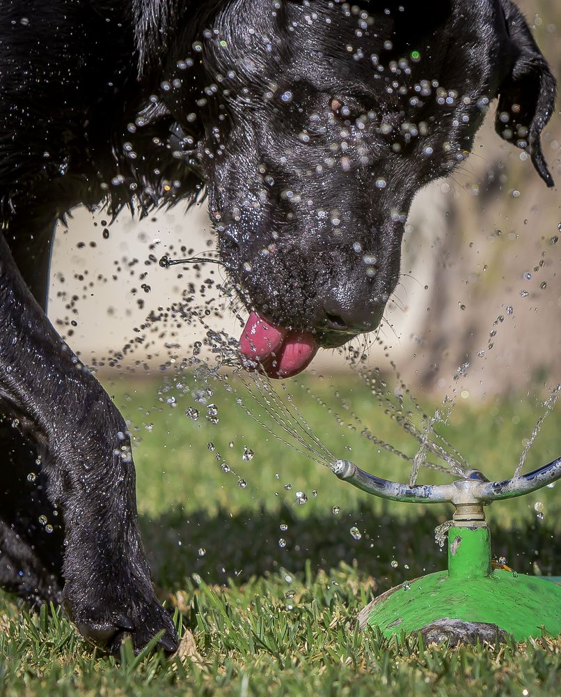 Photograph by Katja Sen