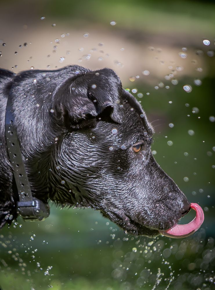 Photograph by Katja Sen