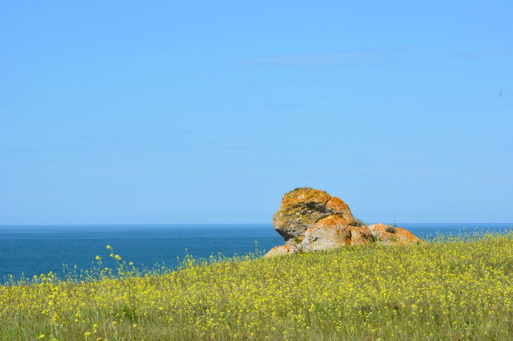 Photograph by Анатолий Орлов