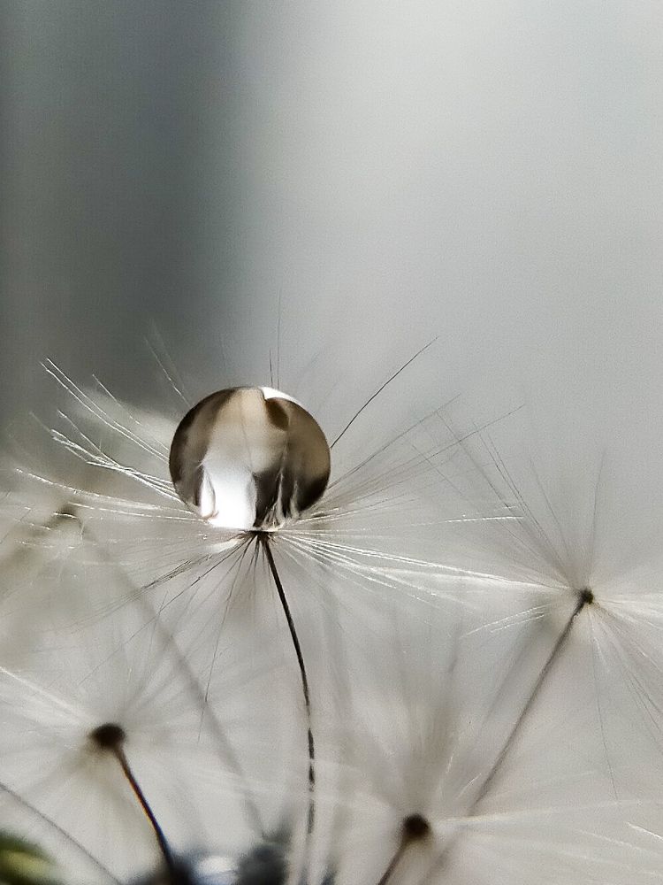 Фотография автора Thomas Engida