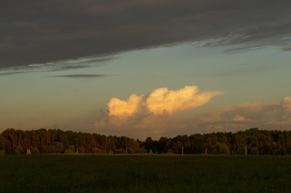 Photograph by Ольга Копина