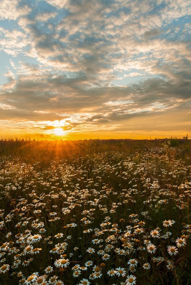 Photograph by Андрей Папанов