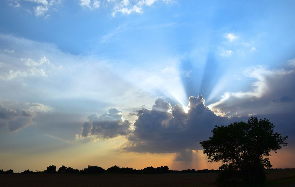 Photograph by Margo Margo