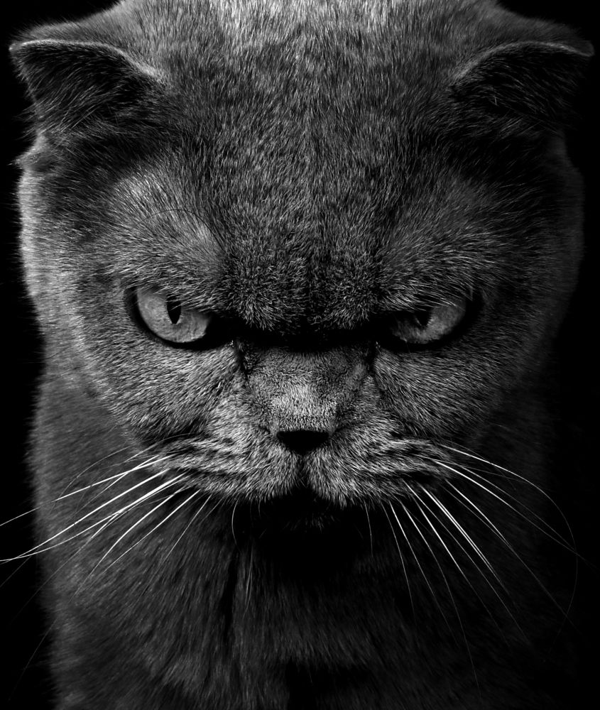 Photograph by Александр Замятин