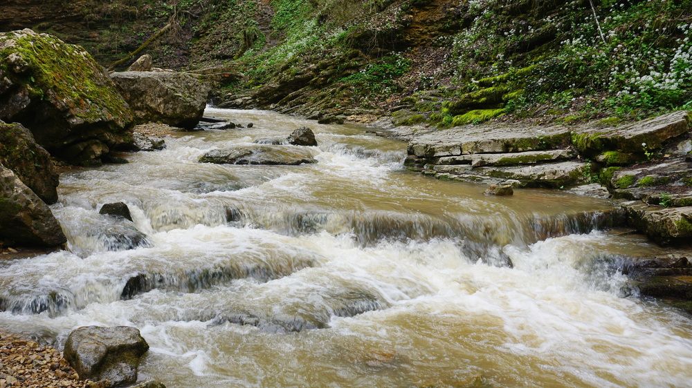 Photograph by Оксана Трофименко