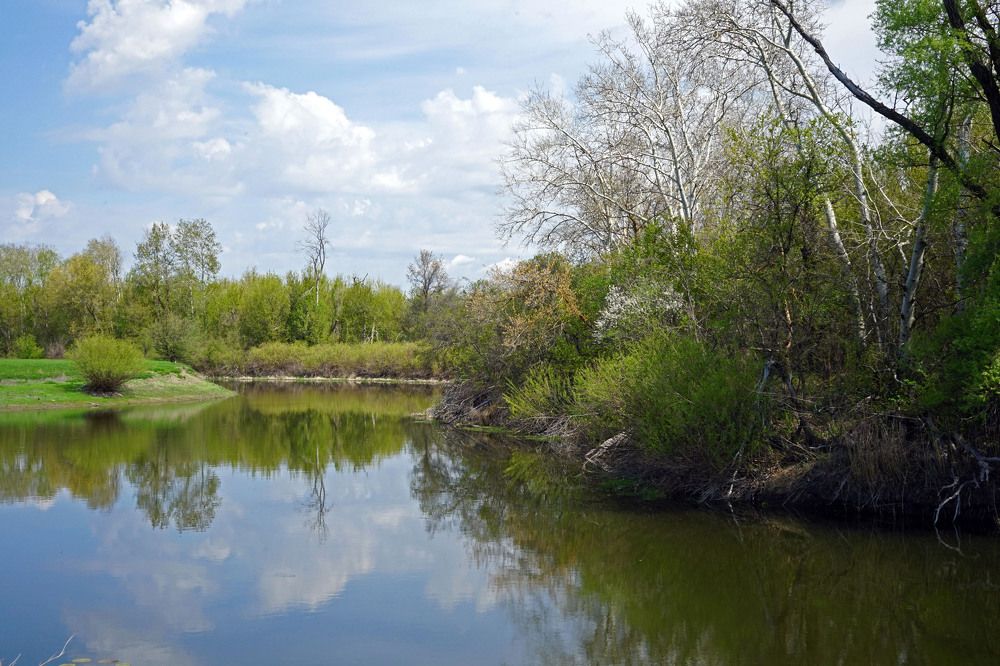 Photograph by Tatiana Glazkova