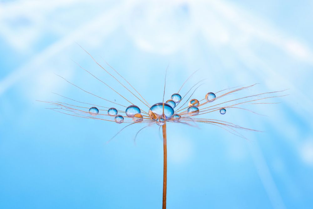 Фотография автора Summerlin