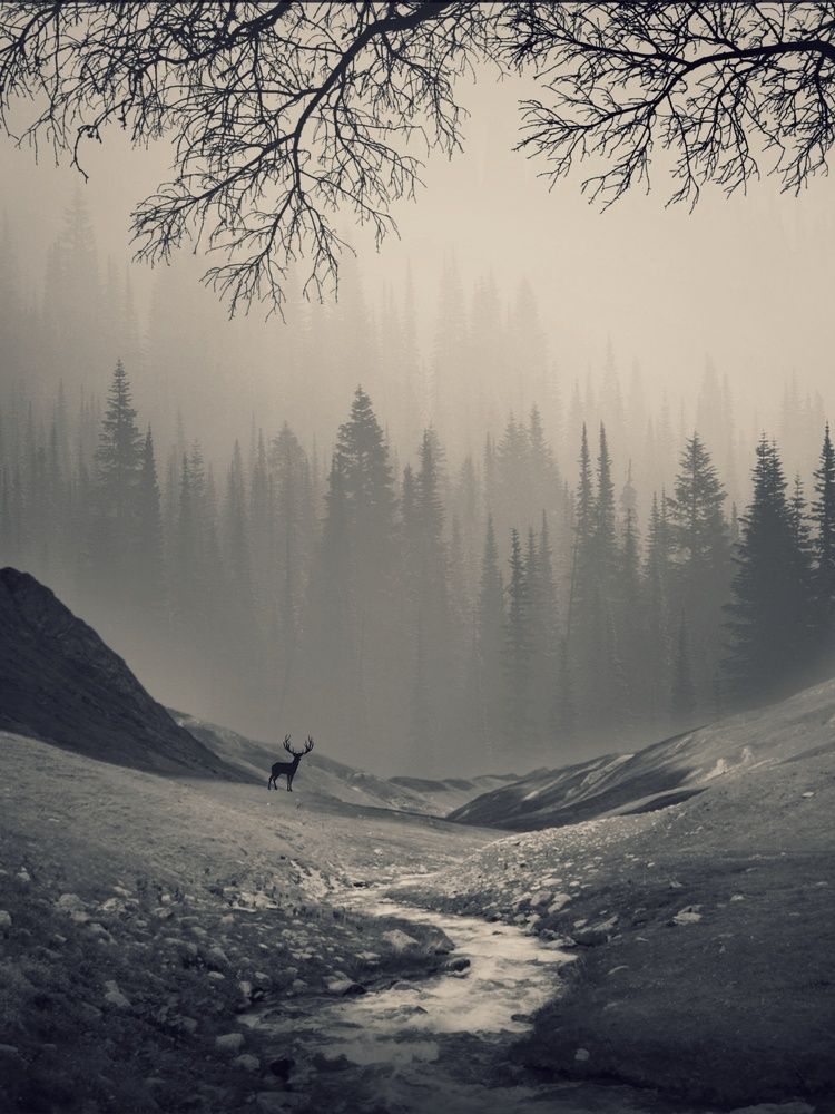 Photograph by vidit singhvi