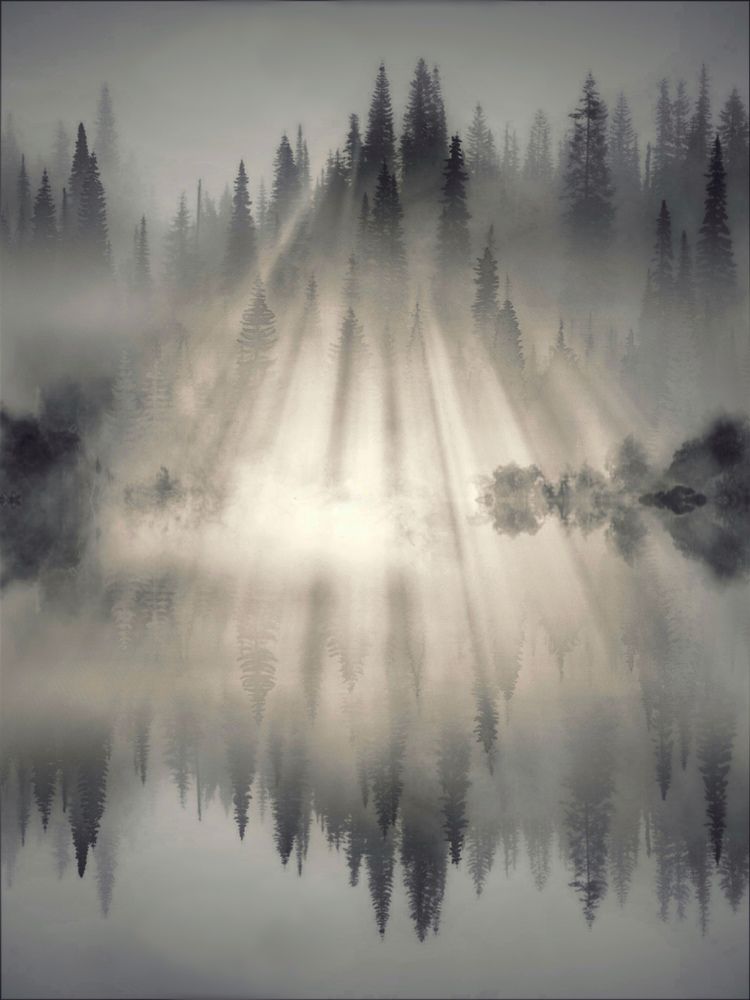 Photograph by vidit singhvi