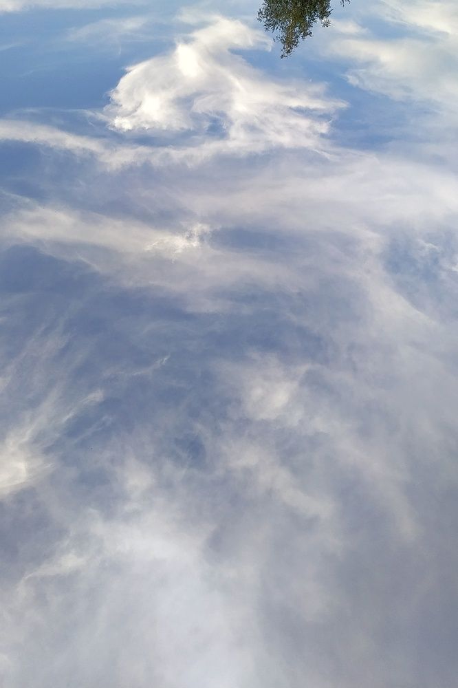 Photograph by Пивоварова Екатерина