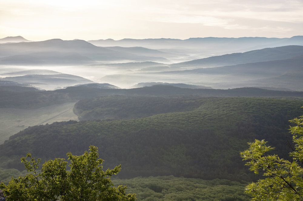 Photograph by Елена Гусева