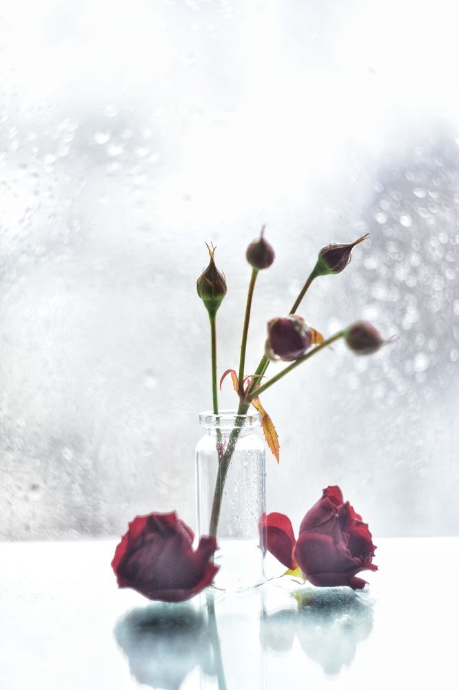 Юность и зрелость.