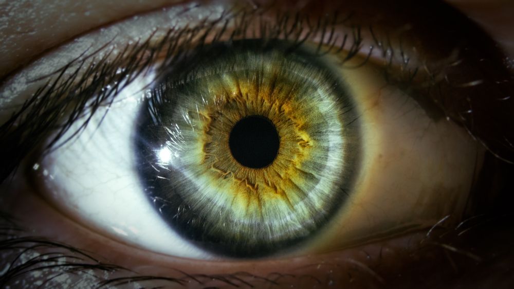 Фотография автора Георгий Петров