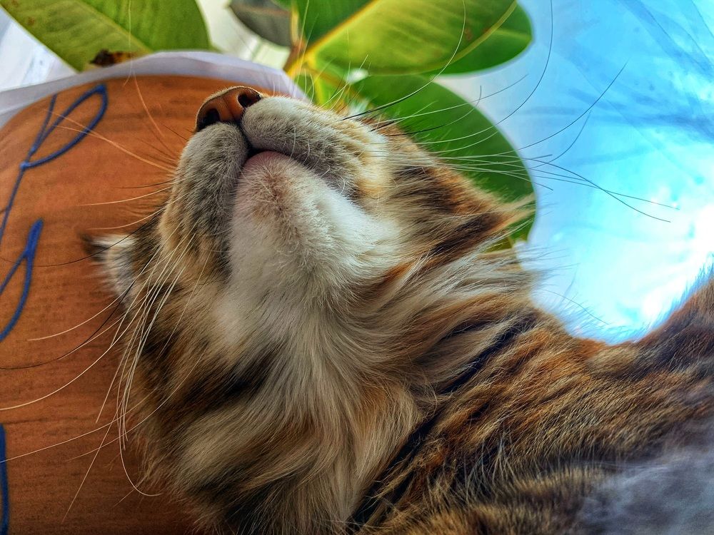 Photograph by Юлия Чиклеева