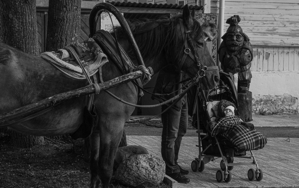 Фотография автора Глеб Рубашкин