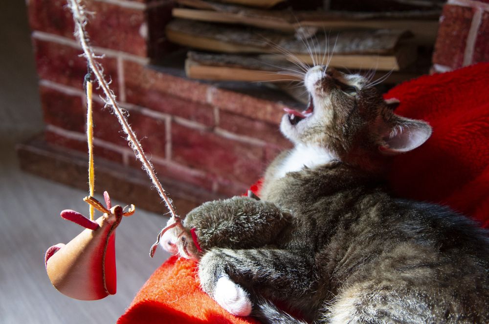 Ааааааааа!!!!