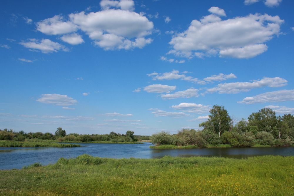 Фотография автора Nelya  Lysenko