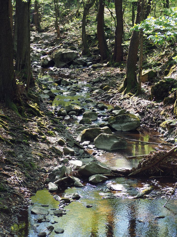 Фотография автора Denes Doma