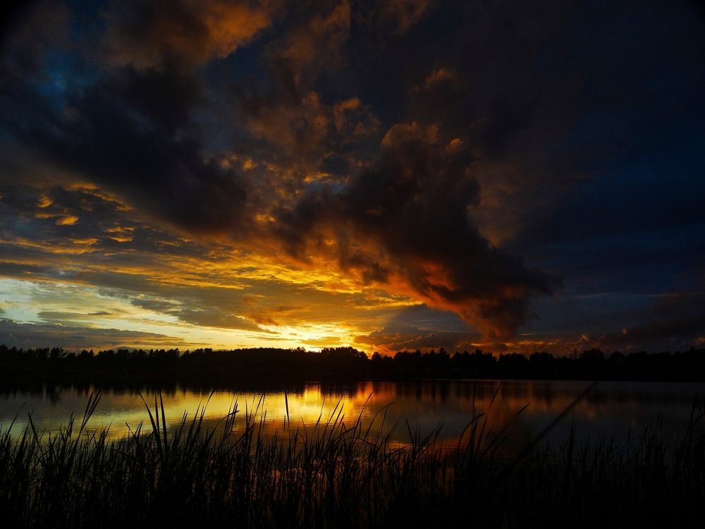 Photograph by Алексей Глухов