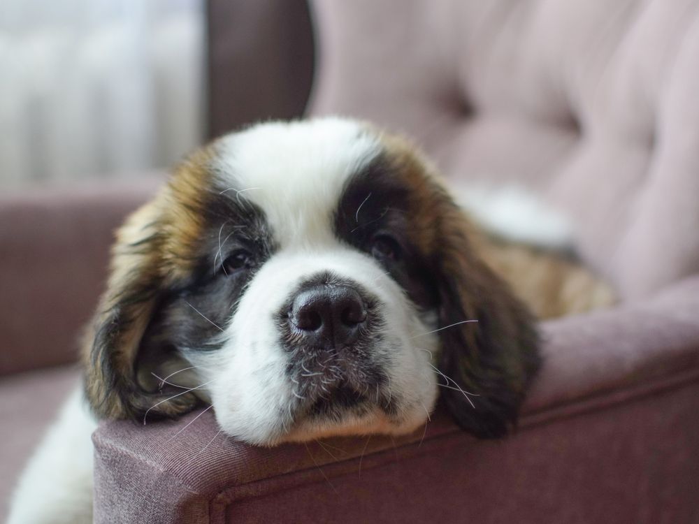 Photograph by Юлия Субботина