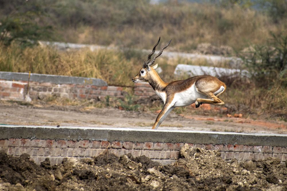 Photograph by mayur shrimali