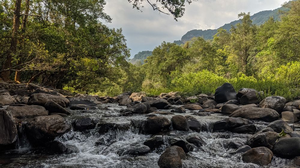 Photograph by Vijayakumar