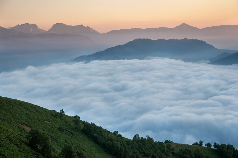 Молочный океан /Milky Ocean