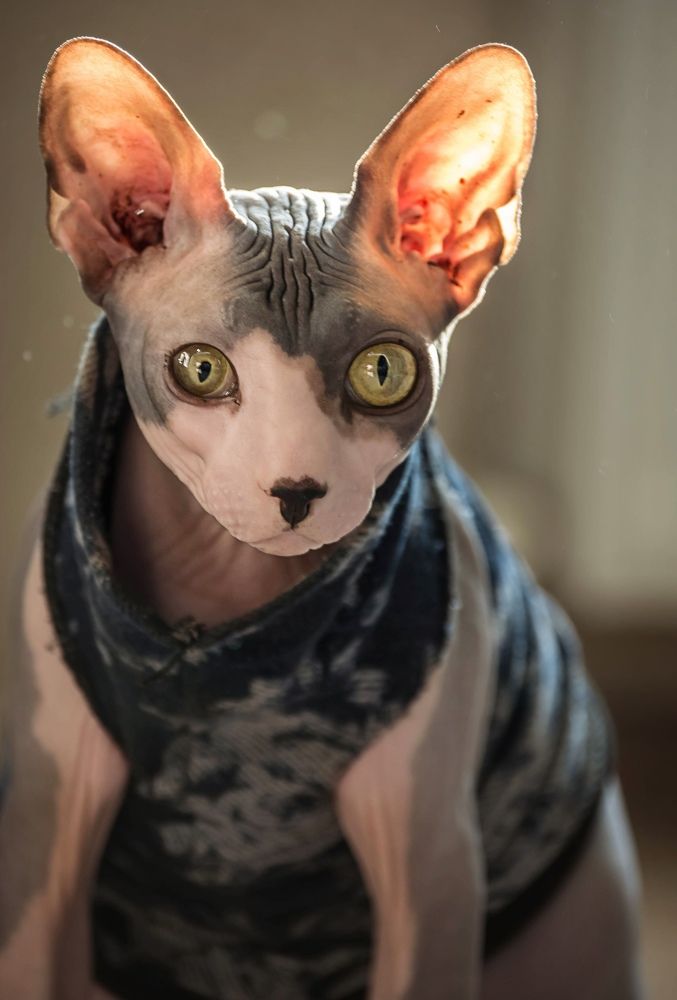 Photograph by Елена Плотникова