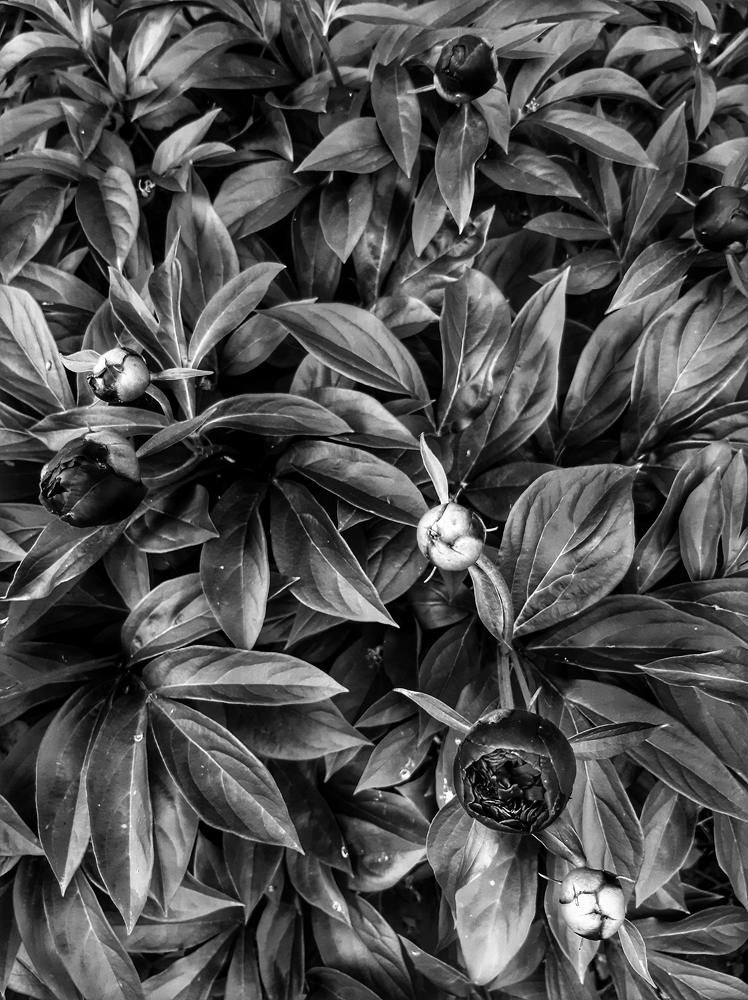 Photograph by Екатерина Вострякова