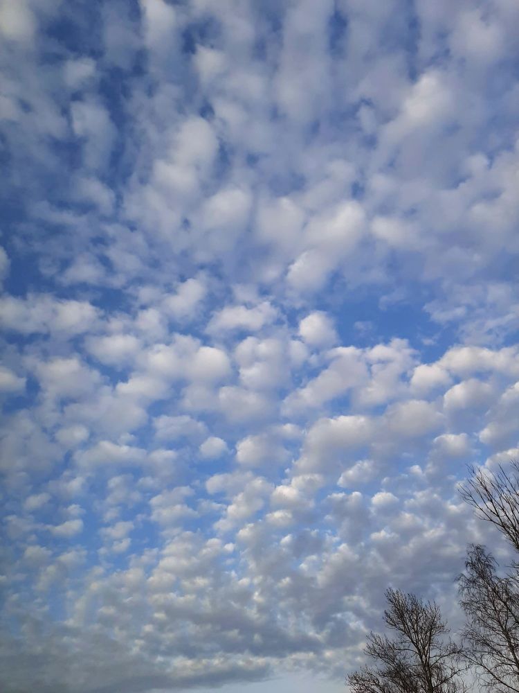 Photograph by Екатерина Вострякова