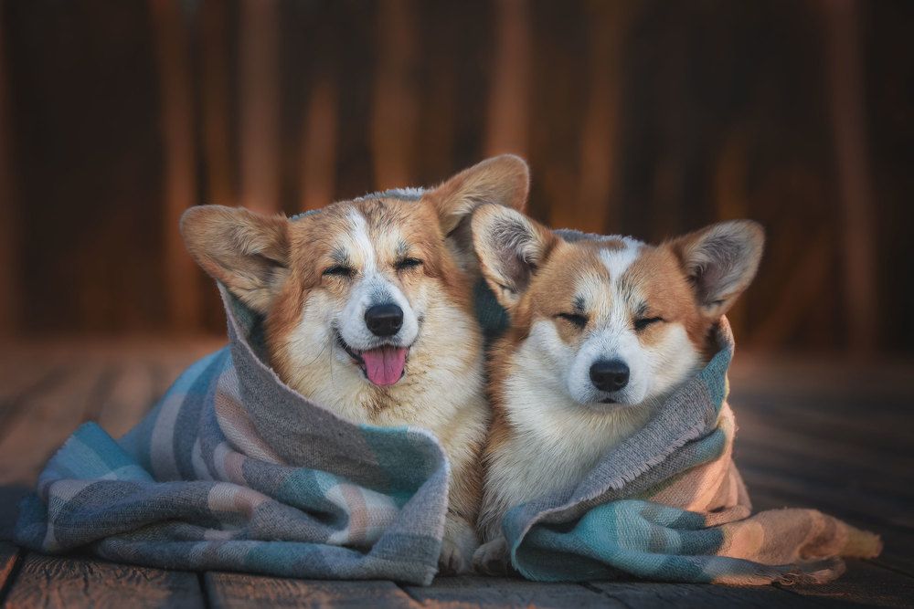 Photograph by Ирина Мороз