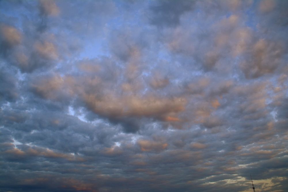 Photograph by Ольга