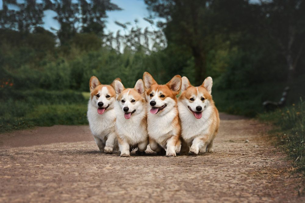 Photograph by Ирина Мороз