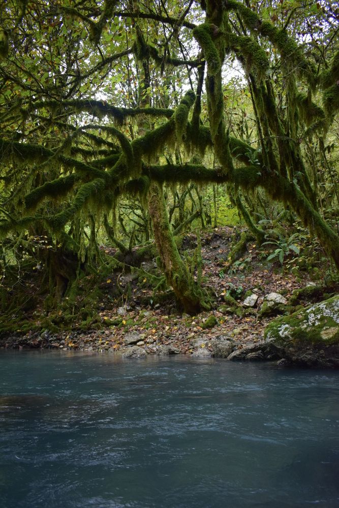 Photograph by Екатерина Вострякова