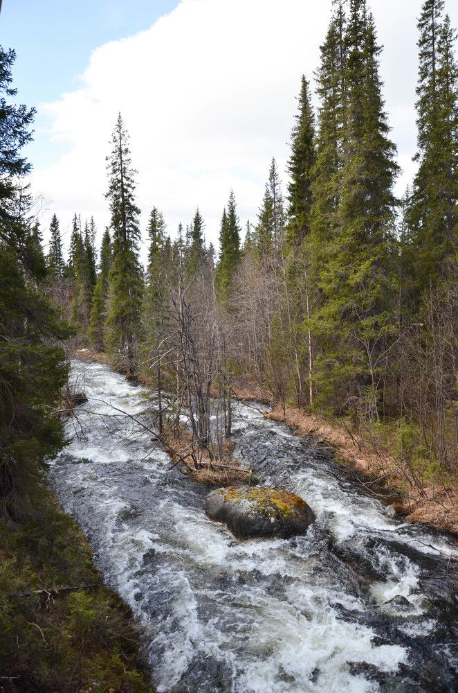 Photograph by Ксения Рябухина