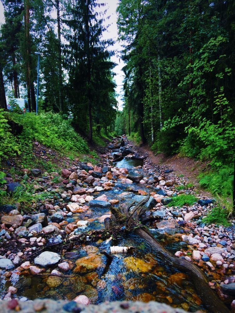 Фотография автора Климентий