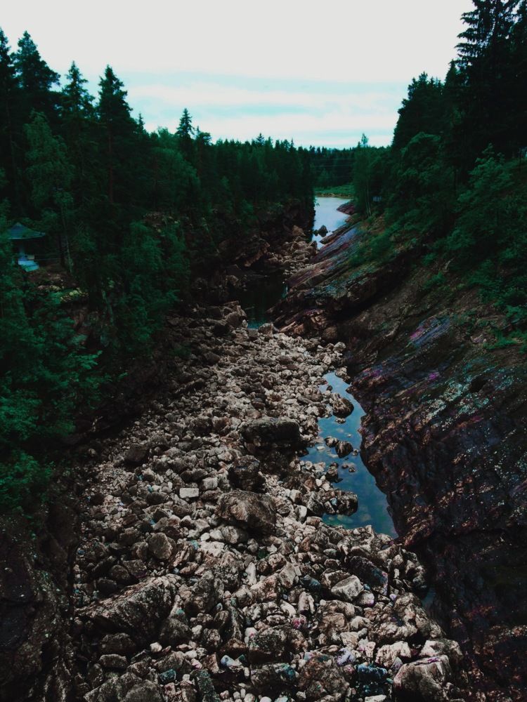 Фотография автора Климентий