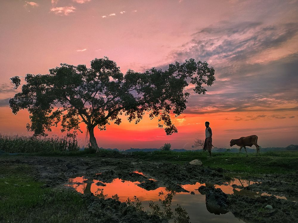 Photograph by pradiptamoy paul