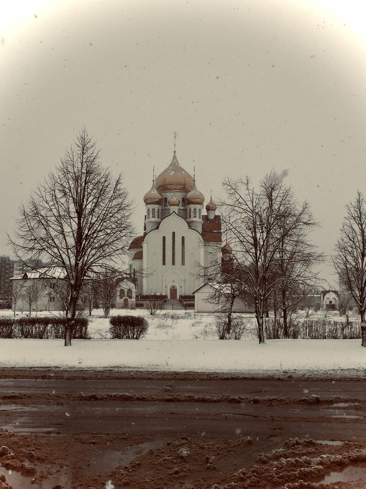 Winter in Russian Province ⚜️