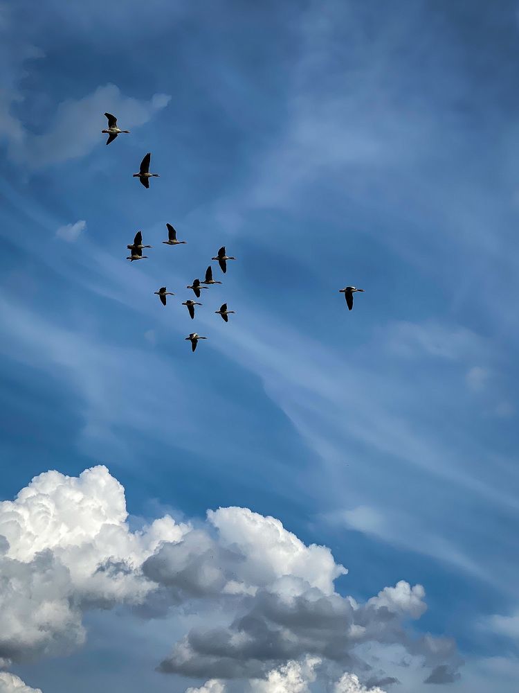 Летать так летать