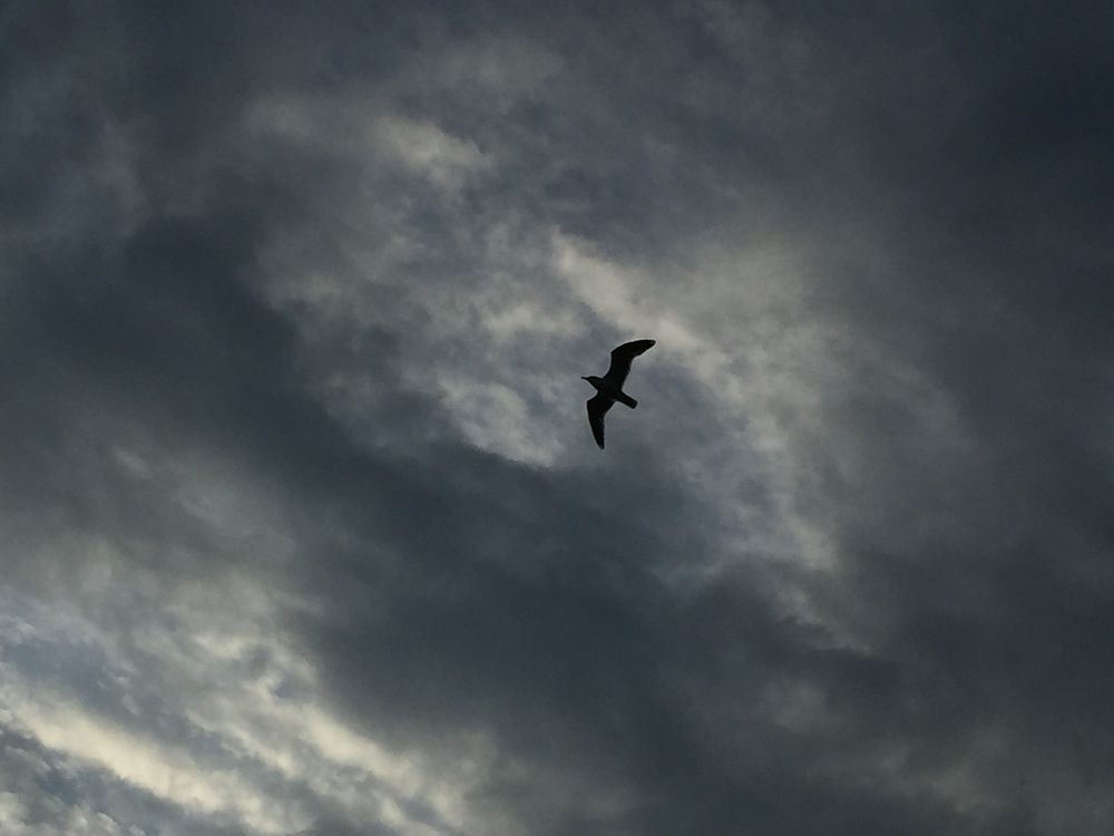 Photograph by Марина Платонова