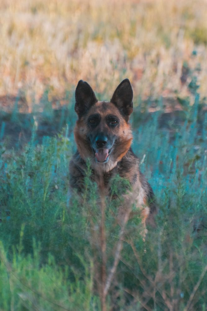 Photograph by Анастасия Киселева