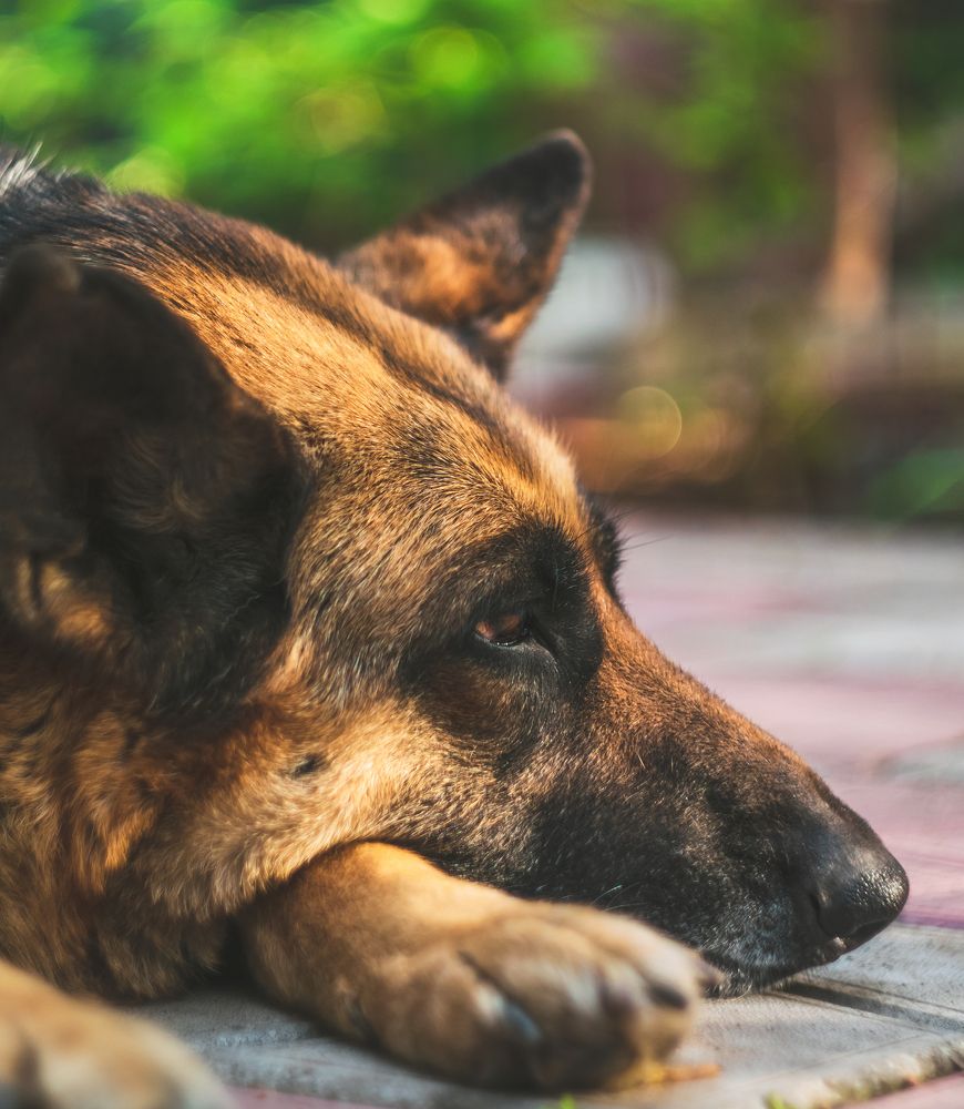 Photograph by Анастасия Киселева